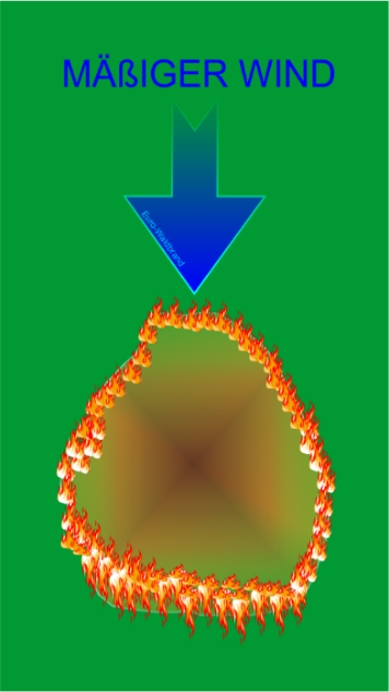 Bild "einsatz-im-waldbrand:einsatz-im-waldbrand-wind-detail-02.jpg"